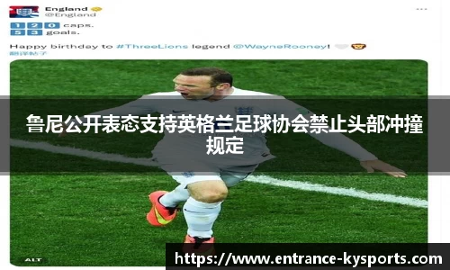 开云kaiyun网页版